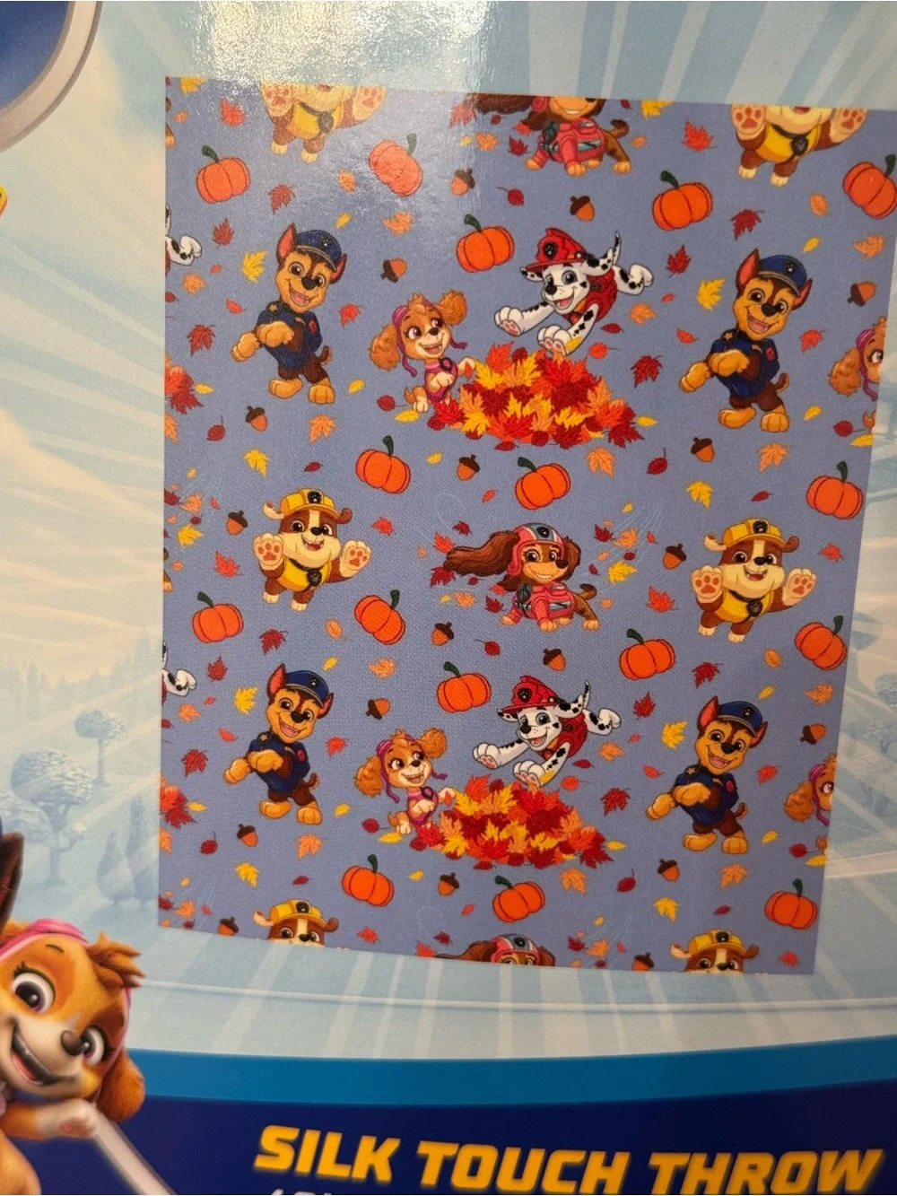 Paw Patrol Kids Blue Fall Fleece Blanket